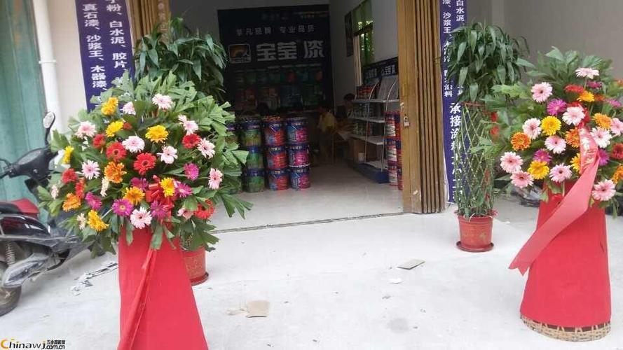 宝莹漆 江门涂料厂家代理的不二之选